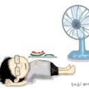 삼오집 이미지