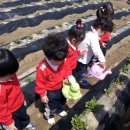 솔빛농장 이미지