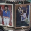 아이비스 안경콘택트 이미지