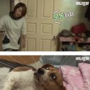 송산유치원 이미지