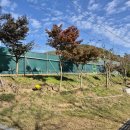 목포실내체육관 테니스장 이미지