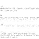 비비앤코