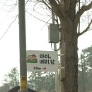 밀양농장 | 대구 근교 딸기체험 아이베리팜 밀양 아이와 딸기농장