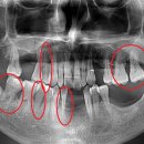 본정치과의원 이미지