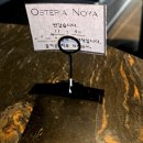 관악종합시장 | 오스테리아 노야 | 관악 데이트코스 봉천 분위기 좋은 양식 다이닝 맛집