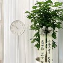 유에스테틱 - 유성구 | 유에스테틱