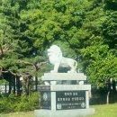 [주간일기] 선재 찾아 행궁동 지박령이되.