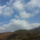 강나루하얀집 이미지