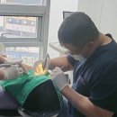 새롬치과의원 이미지