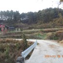 금산종합터미널 주변 이미지