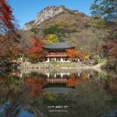 백양사 쌍계루 이미지