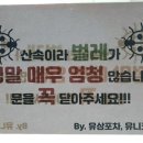 유삼포차 이미지