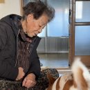 계소경로당 네이버블로그
