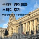 영어(온라인) | 영국 워홀 어학연수 준비 | 직장인 온라인 영어회화 내돈내산 수강 후기 (Franko 선생님)