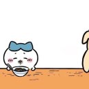 한통 이미지