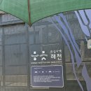 도심에서 즐기는 감성 여행, 밀양 해천과 축제 후기