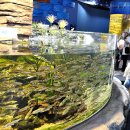 단양-단양-05 이미지