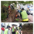 건영아파트 옆 이미지