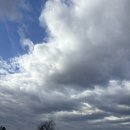 백악관 | 🇺🇸 [뉴욕 DAY5] 뉴욕 여행 중 워싱턴 DC 당일치기 후기 | 백악관, 국회의사당, 링컨기념관 투어 총정리