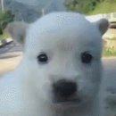 고성점 현대자동차 이미지