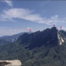 돌봉추어탕 이미지