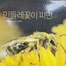 [다중지능오감] 독후활동: 민들레 꽃이 피면🌼 이미지