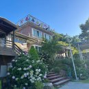 노송식당 | 창원 북면 백숙맛집 “노송가든”