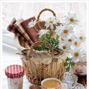 코스모스피아 이미지