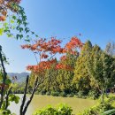 입암 | 계룡 가볼만한곳으로 유명한 입암저수지 단풍 솔직 후기