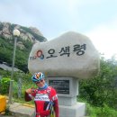 태백산맥투어 Daum카페
