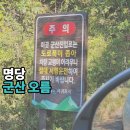 금장지 이미지