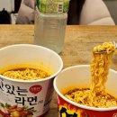 숲향 한옥스테이 | [공주여행] 애견동반 가능 촌캉스 스테이 보늬밤