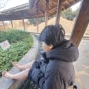 에코랜드 | 제주 에코랜드 호텔 후기