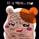 비룡키즈태권도장 이미지