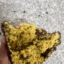 GS25서구충무점 | [내돈내산] GS25 모모즈랩 두쫀쿠 솔직후기｜재고, 입고시간, 편의점 두바이 디저트