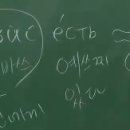 까르치아 이미지