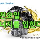 제이피완진