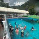 동아대동일태권도 이미지