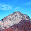 호수와 소나무 이미지