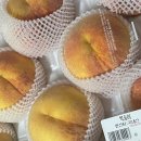 (주)더사다 이미지