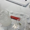 (제주 외도) 모비디크탈모관리 (f.k.a.뉴니스스킨앤스칼프) 탈모 스트레스 두피스케일링 제주 No.1 탈모...