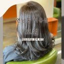 미용실(미용실) | 연남동미용실 도원 | 매트브라운 염색 홍대미용실 추천 후기