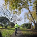 백마흔번째 2026년 5월 24일 : Orakei-Glen Inn-Panmure-Otahuhu 이미지