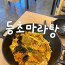 발산 마곡 맛집 내돈내산 : 등초마라탕