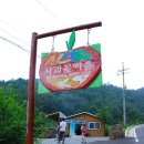 일단와봐유 이미지