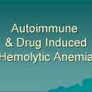 Autoimmune & Drug Induced Hemolytic Anemia 이미지