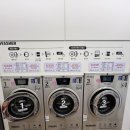 개밥파는 고양이 야당점 이미지