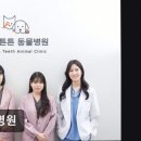 눈이튼튼 동물병원 이미지