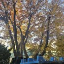 동원유치원 이미지