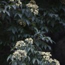 도통기름집 이미지